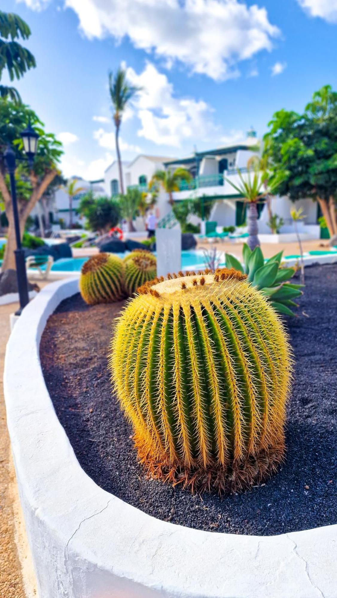 Ferienwohnung Un Capricho Puerto del Carmen  Exterior foto